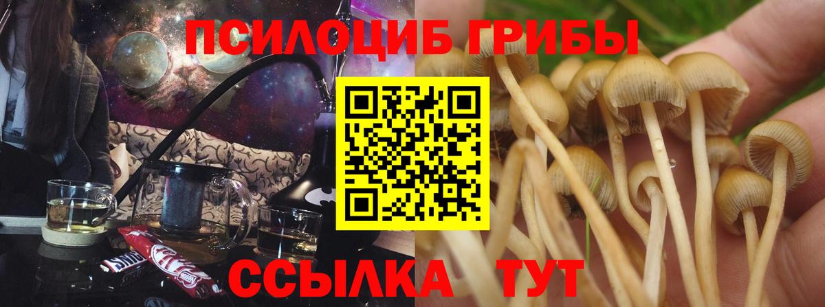 Псилоцибиновые грибы MAGIC MUSHROOMS Костомукша