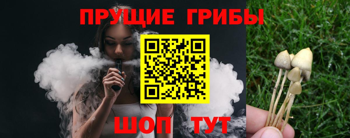 Псилоцибиновые грибы MAGIC MUSHROOMS  Вход с VPN  Костомукша 